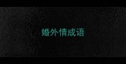 婚外情成语