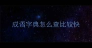 成语字典怎么查比较快