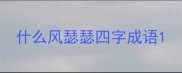 什么风瑟瑟四字成语