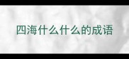 四海什么什么的成语