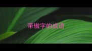 带辙字的成语