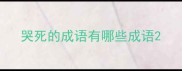哭死的成语有哪些成语