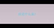 成语什么鉴
