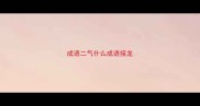 成语二气什么成语接龙
