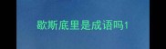 歇斯底里是成语吗