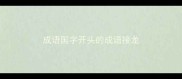 成语国字开头的成语接龙