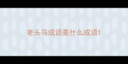 老头马成语是什么成语
