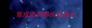 意成语有哪些成语大