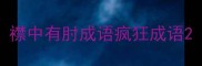 襟中有肘成语疯狂成语