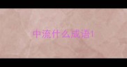 中流什么成语