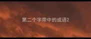 第二个字带中的成语