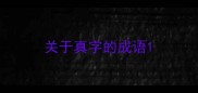 关于真字的成语