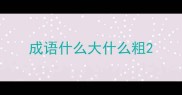 成语什么大什么粗