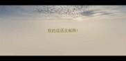 双的成语及解释