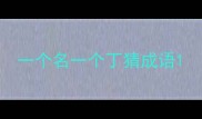 一个名一个丁猜成语
