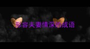 形容夫妻情深的成语