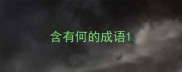 含有何的成语
