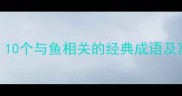 啥鱼的成语有哪些10个与鱼相关的经典成语及寓意附趣味图文