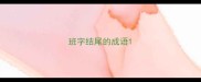 班字结尾的成语