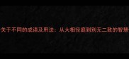 100个关于不同的成语及用法从大相径庭到别无二致的智慧传承