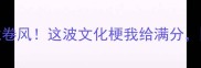 成语谐音梗水龙卷风这波文化梗我给满分网友笑出腹肌