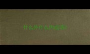 什么外什么内成语