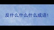 反什么什么什么成语