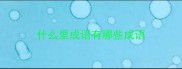 什么里成语有哪些成语