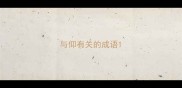 与仰有关的成语