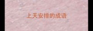 上天安排的成语