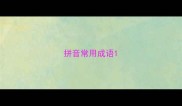 拼音常用成语