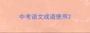 中考语文成语使用