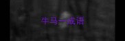 牛马一成语