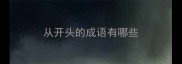 从开头的成语有哪些