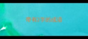 带有2字的成语