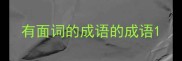 有面词的成语的成语