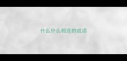 什么什么相连的成语