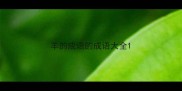 羊的成语的成语大全