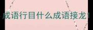 成语行目什么成语接龙