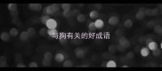 与狗有关的好成语