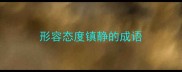 形容态度镇静的成语