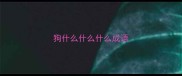 狗什么什么什么成语