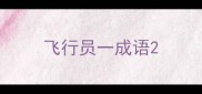 飞行员一成语