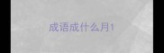 成语成什么月