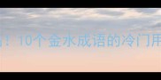 含金量与水量双高10个金水成语的冷门用法与实用技巧