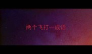 两个飞打一成语