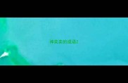 神奕奕的成语
