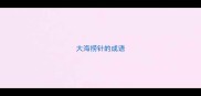 大海捞针的成语
