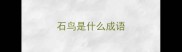 石鸟是什么成语