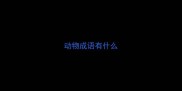 动物成语有什么